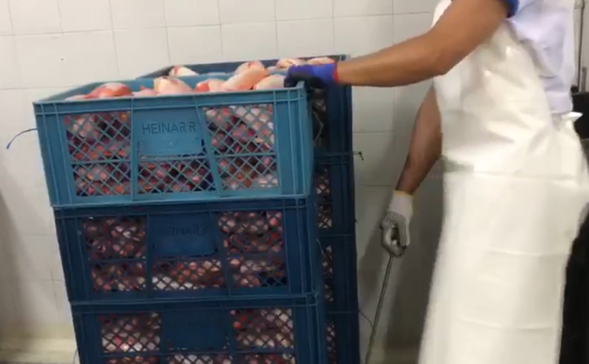 Selección y Clasificación